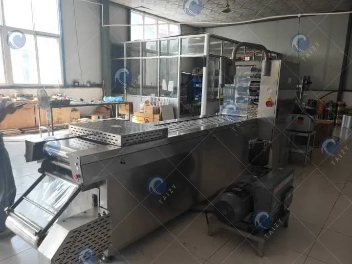 Máquina de embalagem a vácuo contínua