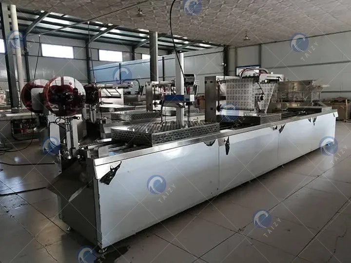 Seladora linear de bandejas