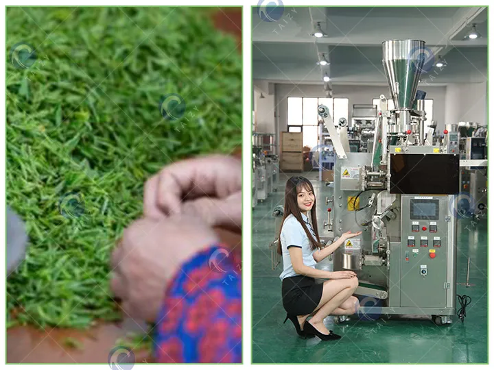 Automatic Tea Packaging Machine For Tea&Amp;Coffee Bagging 1 Advantages of tea packing machine