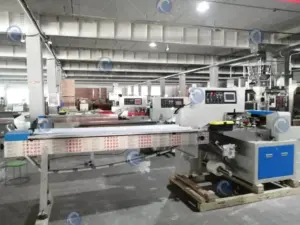 Taizy Packaging Machinery 31 Food flow wrapper machine testing process