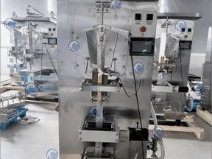 Russian Customer Chooses Taizy Water Pouch Packing Machine For 100G Water Bagging 4 Liquid food packaging machine
