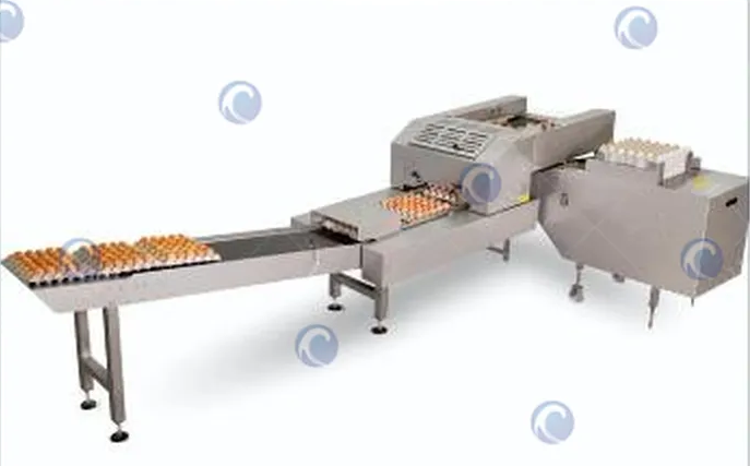 Egg Packing Machine 1 Automatic egg tray packing machine