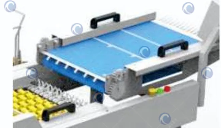 Egg Packing Machine 2 Egg carton packing machine