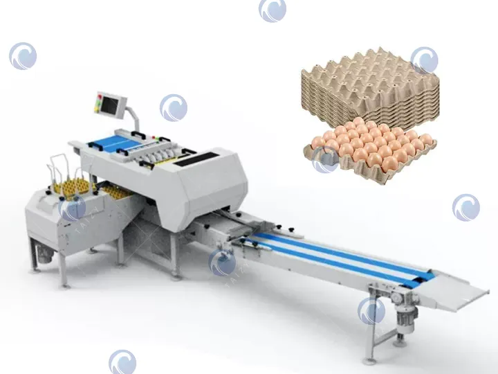 Egg packing machine