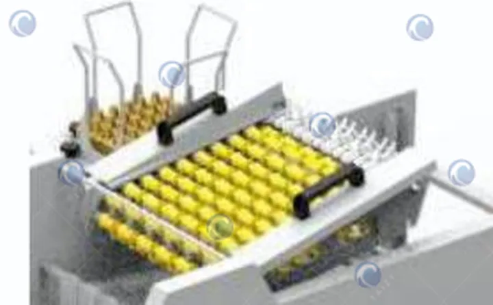 Egg Packing Machine 4 Egg sorting and packing machine